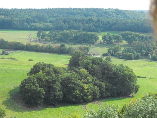 Image3 Image3