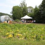 Visite du Lycée technique agricole au Luxembourg: vue sur les champs et les serres