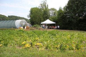 Visite du Lycée technique agricole au Luxembourg: vue sur les champs et les serres