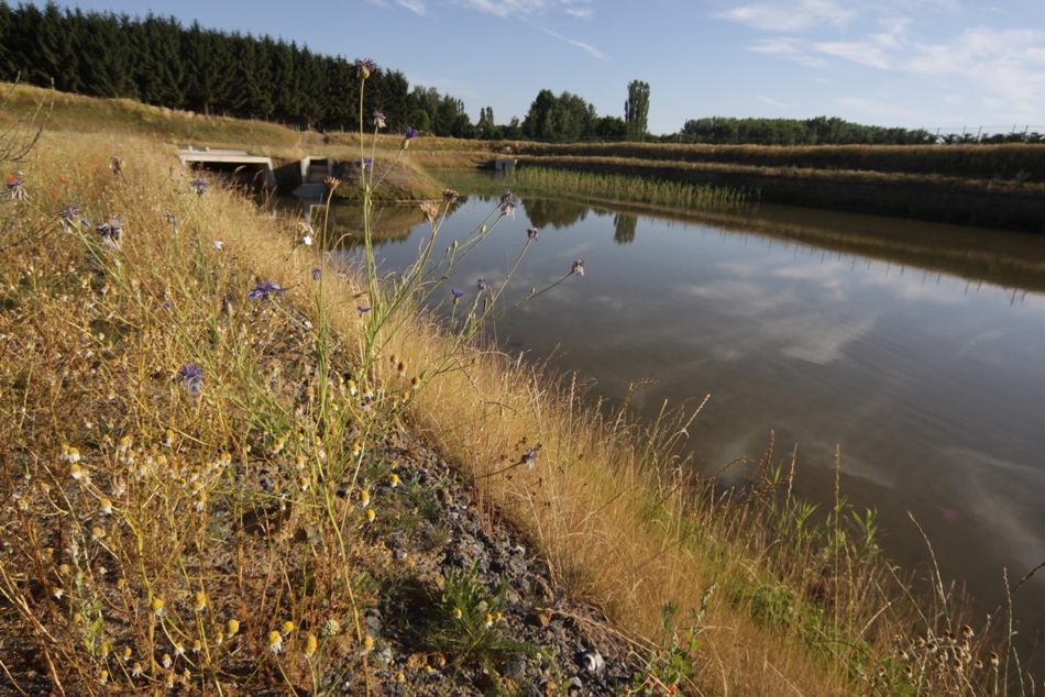 Bassin d'orage Rhisnes Ecolys 07-2010 (3)