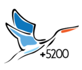logo plan cigogne