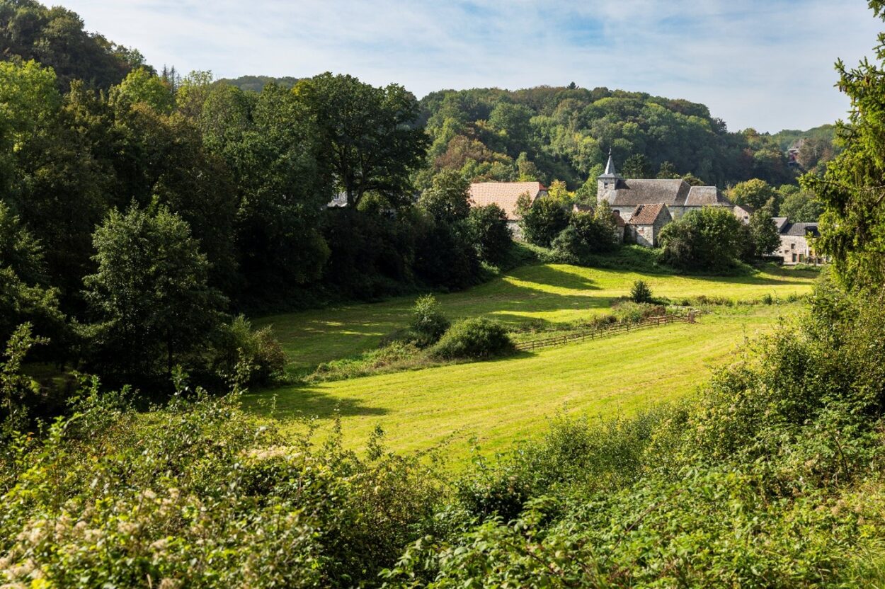 Molignée paysage 1 ©François STRUZIK