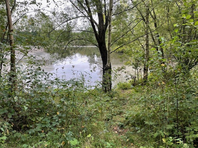 photo-vue-etang-sept2024-Marie Defise